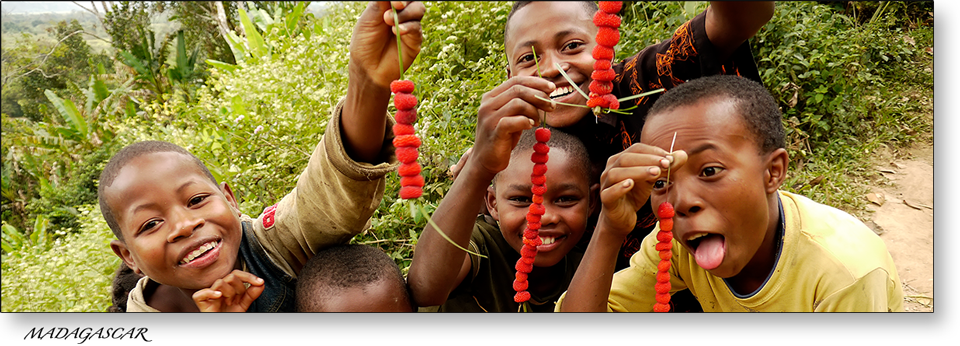 Framboises - Andapa - Madagascar